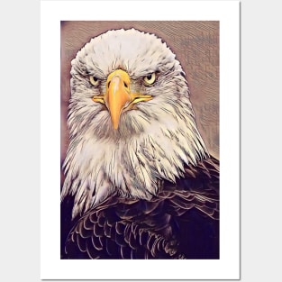 The bald eagle Posters and Art